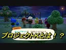 あつまれどうぶつの森　攻略プロジェクトＫの真相とは！？　　【あつ森】【Animal Crossing】