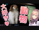 かわいい動物に限界化する鈴原るるまとめ