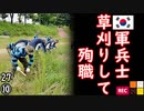 なぜそーなる？　【江戸川 media lab R】お笑い･面白い･楽しい･真面目な海外時事知的エンタメ