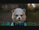 8月28日　生まれの皆様　お誕生日おめでとうございます！　マクタンより心込めて　おめでとうございまーーす(^▽^)/