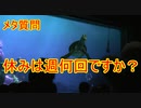 【メタ質問】休みは週何回ですか？ 【タートルトーク】東京ディズニーシー