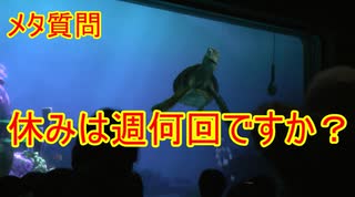 【メタ質問】休みは週何回ですか？ 【タートルトーク】東京ディズニーシー