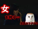 「女性」の方は「フクロウ」にお気をつけ下さい。～前編～