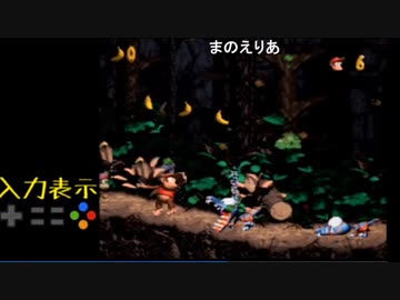 【TS録画】スーパードンキーコング2 102%RTA 実演＆解説 W5編　前半