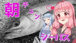 【お台場】琴葉姉妹とシーバスフィッシング！vol.4【朝のシーバス】