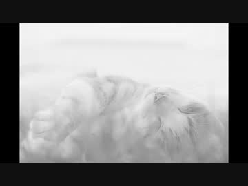 【30分】妄想の門【ループ】
