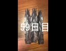 黒折り紙で千羽鶴を作っていく　59日目