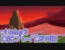 探し人を求めてwitcher3実況プレイ第310回