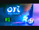 【＃01】Ori and the Will of the Wisps 【じっくりと実況】