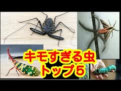 【キモ過ぎ注意】世界のグロテスクな虫【トップ５】