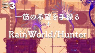 【ハンター♯３】世界は我の手に堕ちた！捕食者チャッピーによるRainWorldへの逆襲の道【RainWorldハンターモード実況プレイ】