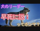 犬がリーダーになってしまうと早死にすんの！？に答えてみた