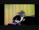 【音MAD】トムが東方アレンジメドレーを弾いてみたようです