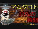 合計19時間に及ぶ「まるひこvsマムタロト」決着の瞬間【総集編】