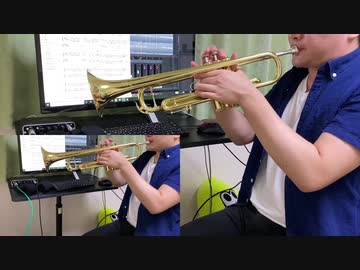 【兎は舞い降りた】東方紺珠伝1面の曲をトランペットで吹いてみた【忘れがたき、よすがの緑】