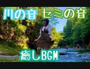 【癒しBGM】大自然！夏の音に癒されよう【AMSR】