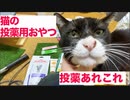 猫のQOL維持の秘密兵器、色々な投薬用おやつに挑む