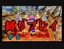【アルカリ性】26周目だし、縛りプレイで楽しもう！【ドラクエ5シーズン1 Part5】