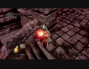 持たざる者が忘れ物をしたようです28【DARKSOULS縛りプレイ】