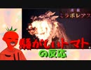 【ミラボレアスの反応】騒がしいトマトがMHW:IBデベロッパーズダイアリーFinalを見る