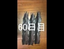 黒折り紙で千羽鶴を作っていく　60日目
