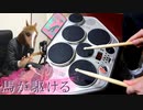 「夜に駆ける」を馬が叩いてみた【YOASOBI】