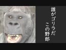 (Fallout4)放射能にまみれたこの世界で(ゆっくり)  #10前編「洗ってない犬は動物園のニオイがする」