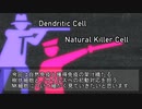 【ゆっくり解説】樹状細胞・NK細胞