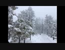オリジナル曲／vs.Matrix-SnowWhiteMix