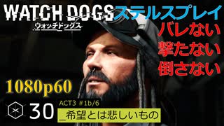 Watch dogs ステルスプレイ #30 〔希望とは悲しいもの〕後編