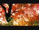 【初音ミク】紅蓮華 / LiSA【cover】