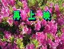 『再上映／米津玄師』 【Off Vocal】メロディー無し