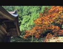 友田　「速田神社」初秋８月末　再訪　廿日市市友田