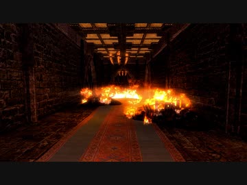 【Skyrim】展示数は257弱でしょうねぇ.mp11