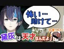 【なんの記念でもない凸待ち】黛の名誉リスナー初の1対1で限界化するもなんとかリスナーの気持ちを代弁する【にじさんじ/ホロライブ/切り抜き/黛灰/夏色まつり】