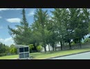 「真っ赤な空を見ただろうか」を歌ってみた