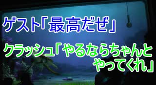 クラッシュ「やるならちゃんとやってくれ」 【タートルトーク】東京ディズニーシー