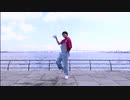 【踊ってみた】少女レイ【動画説明文も見てね】