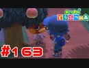 【実況】ロンパースを着るケチャップが可愛すぎる #163【あつまれどうぶつの森】