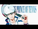 【MAD】テニスの王子様 ~立海大付属 VS 青春学園~