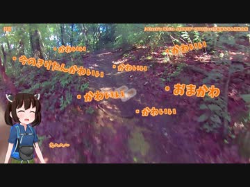 美の山(蓑山)RTA(25分20秒)【東北きりたん】