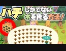 【あつ森】ハチしか出てこない木を作る方法を解説！5本以上木があっても大丈夫！