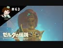 【実況】マスターモードでやりこみサバイバル生活！！　Part63　【ゼルダの伝説　BotW】