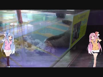 【ひじき祭】琴葉姉妹の日常 2020編(最終回) 「伊勢と夫婦岩とイルカ島」