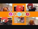 オレンジをオレンジで弾いてみた【とらドラ！】
