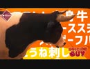 牛が空を飛ぶ（物理）【Sucide Guy】#3