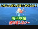 あつまれどうぶつの森　９月から捕れる海の幸まとめ！南半球編！　【あつ森】