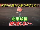 あつまれどうぶつの森　９月から捕れる海の幸まとめ！北半球編！　【あつ森】