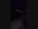 大量に釣れました(^-^)息子と父親の釣りYouTube見てくださいね～□