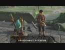 ７周目のリンク冒険厄劇【字幕プレイ動画その４１】